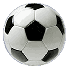 Ottawa Soccer Festivals logo